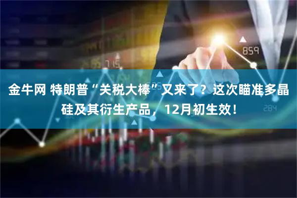 金牛网 特朗普“关税大棒”又来了？这次瞄准多晶硅及其衍生产品，12月初生效！